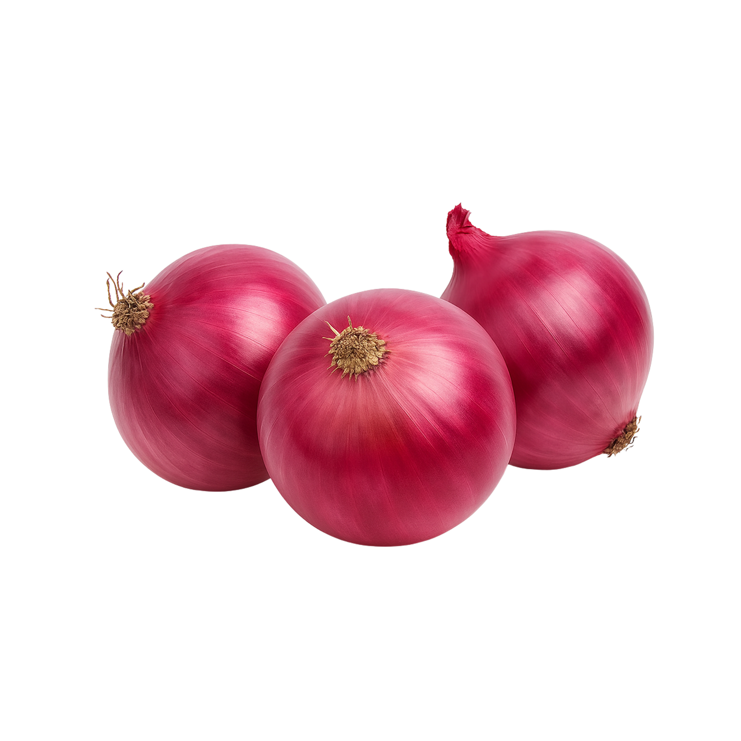 Farm Fresh Onions