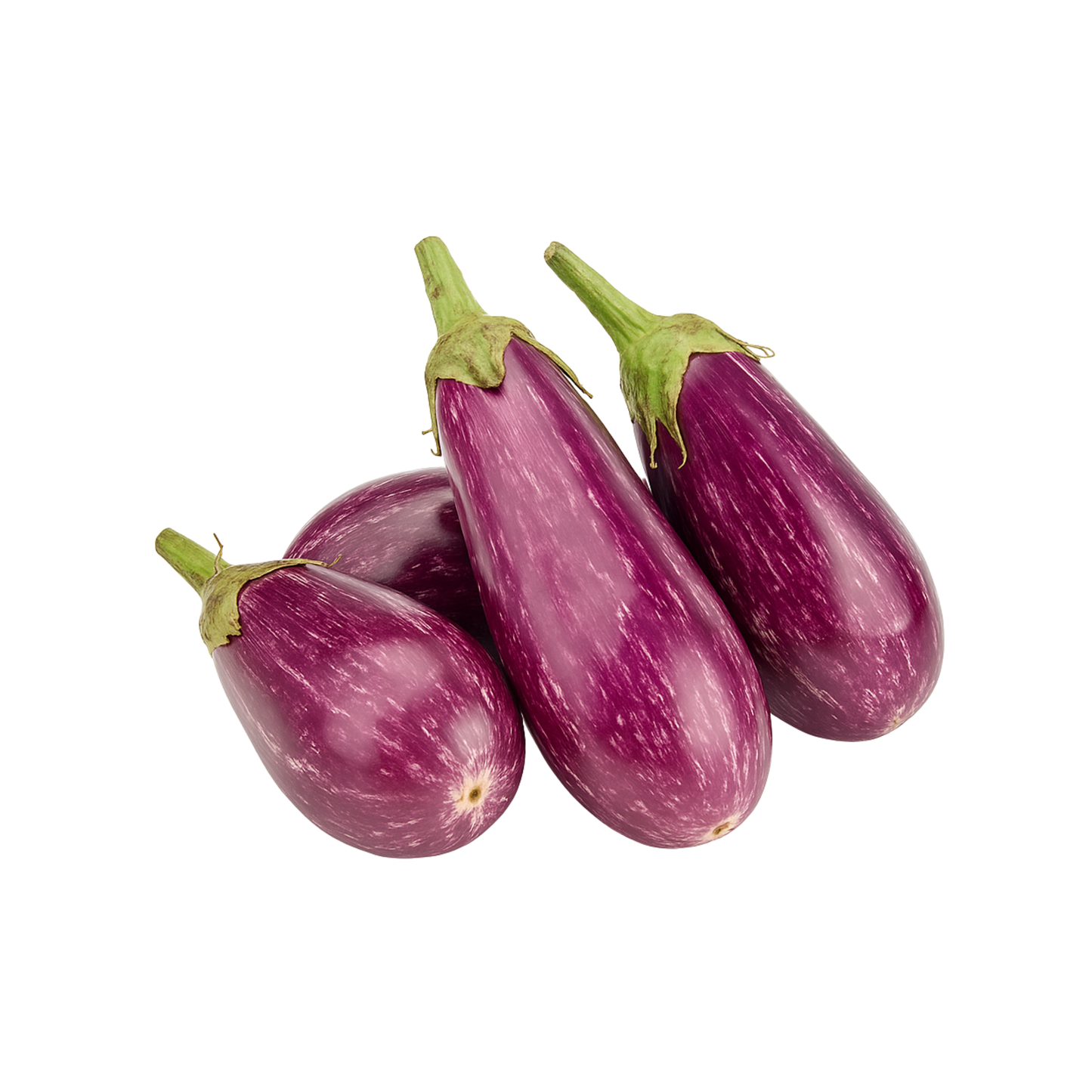 Fresh Brinjal
