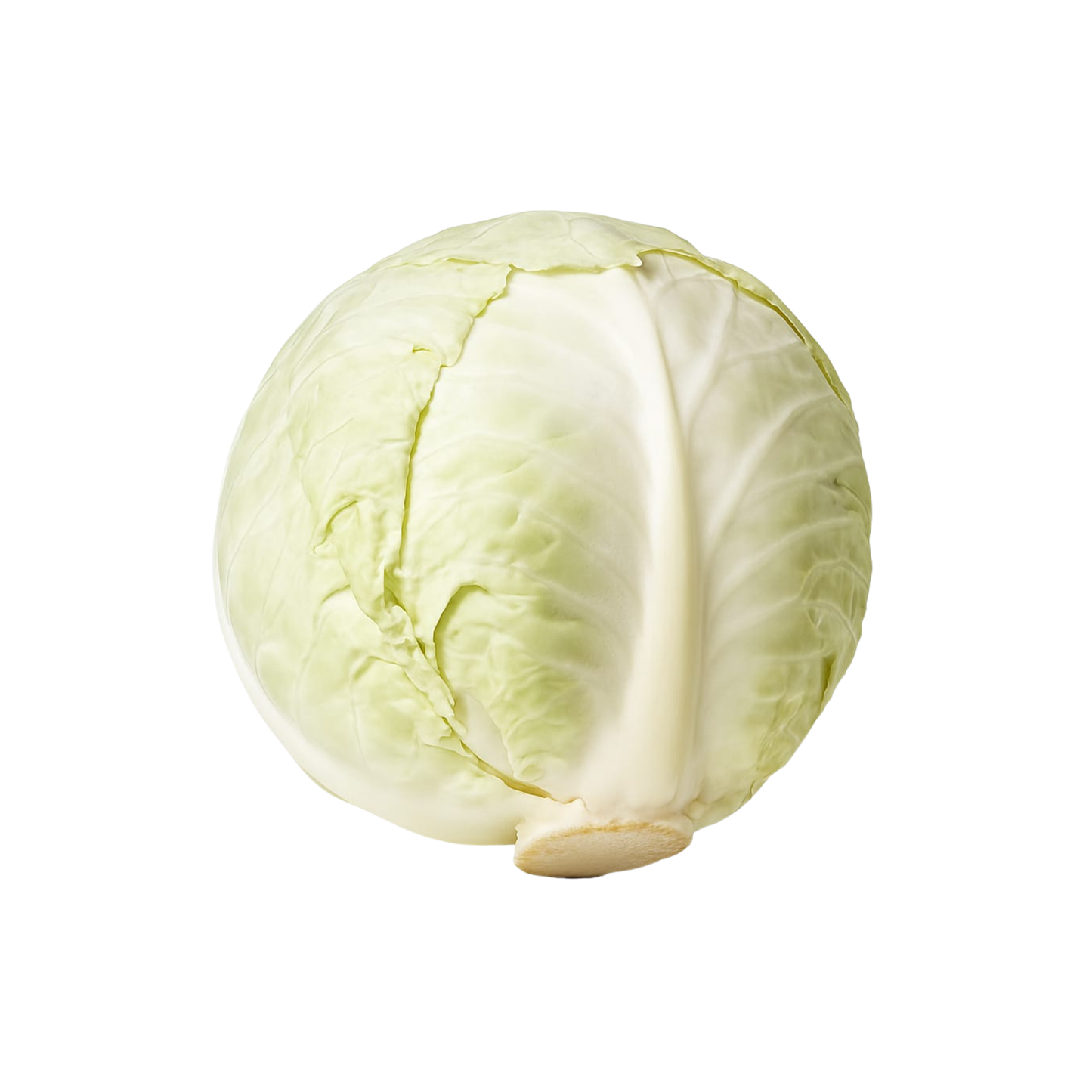 Cabbage Portion