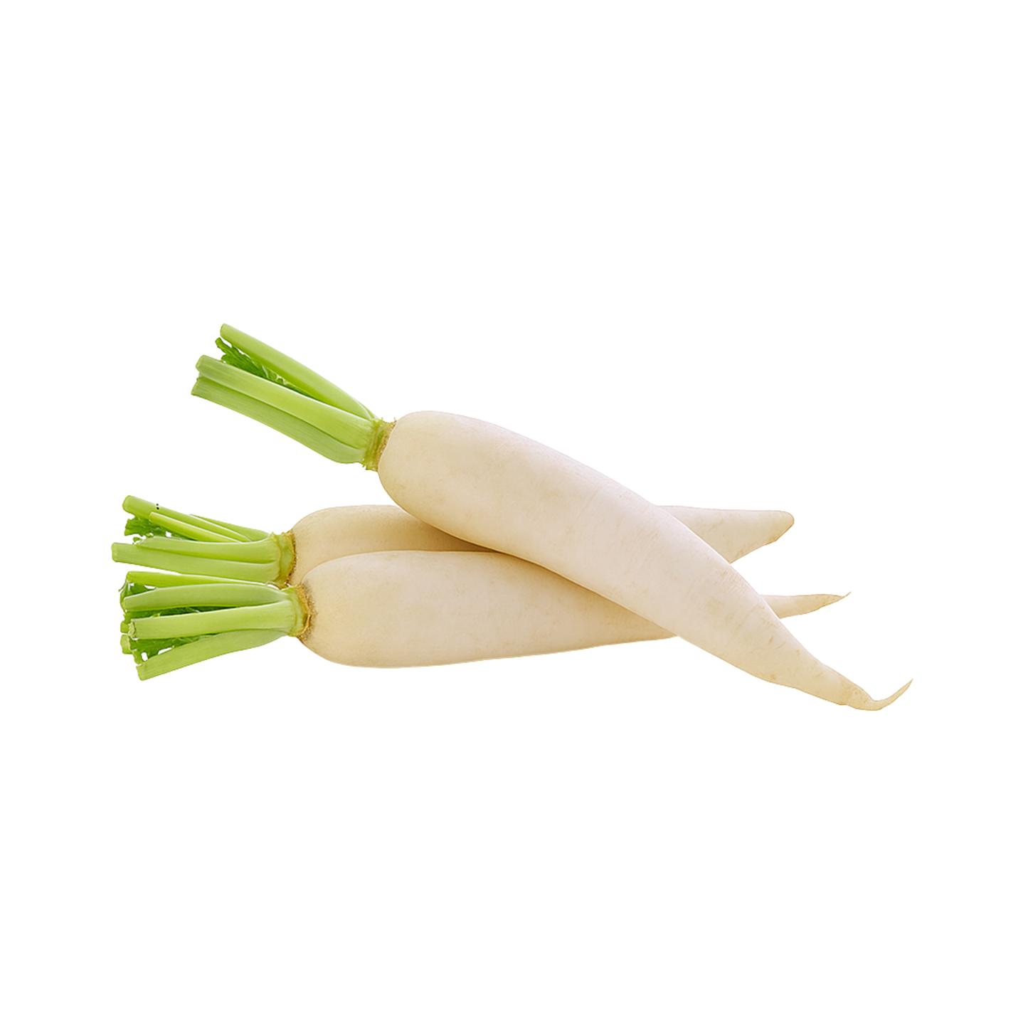 Farm Fresh White Radish