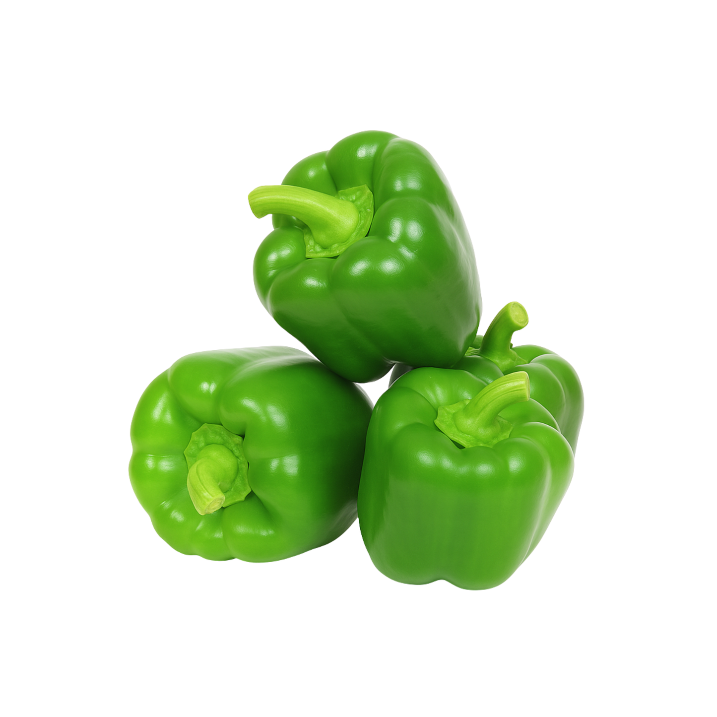 Capsicum