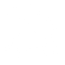 Toys & Games